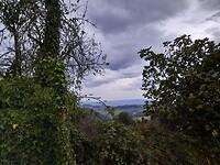 20210924_081803