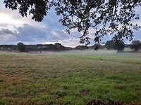 20210925_083755