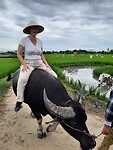 Rijden op een water buffalo