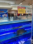 Levende vissen in de supermarkt