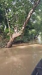 Kano varen Mekong delta