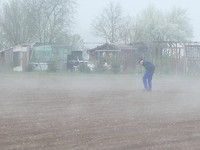 ‘s Morgen vroeg in de mist....