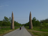 Poort van riet.