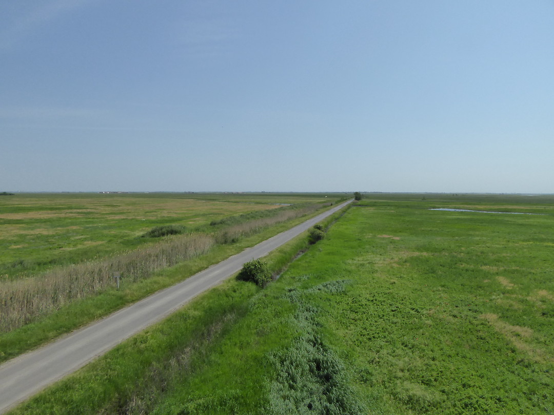 De puszta.
