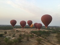 Balloons over Bagan!