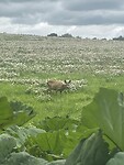 IMG_9851