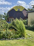 IMG_9910