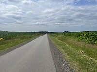 IMG_0142
