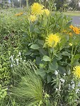 IMG_0149