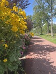 IMG_0353