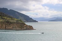 Cook strait
