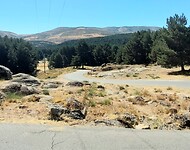 IMG-20240909-WA0018