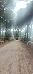 IMG-20240925-WA0007