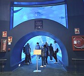 20241104_142857