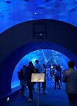 20241104_142840