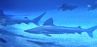 20241104_142131
