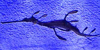 20241104_123519