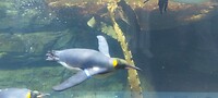IMG-20241108-WA0004