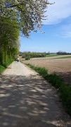 20160421_140432