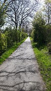 20160421_120503