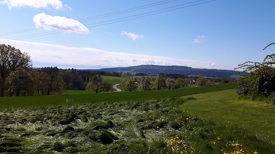 20160428_104913
