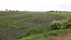 20160513_111726