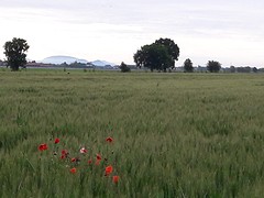 20160513_183251