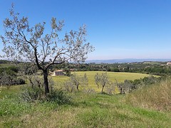 20160522_113300