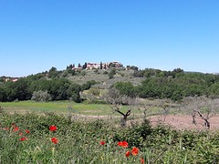 20160522_111042