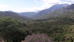 20160604_110052