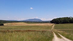 20160623_134557