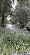 20160701_161724