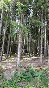 20160702_174259
