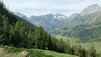 P1001619