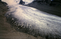 1-20-2013_055