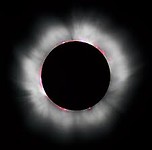 Corona