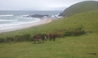 Coffee Bay