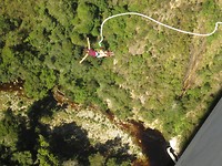 Bungee Jump