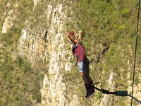 Bungee