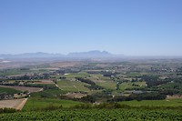 Helderberg Farm