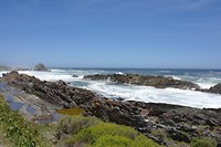 Tsitsikamma national park