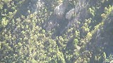 Bungee Jump