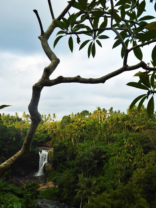 Ubud's waterfall