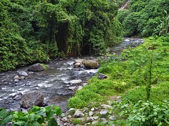 Beautiful river