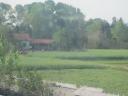 Rijstvelden
