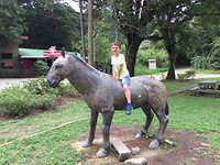 IMG_1327