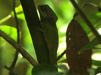 IMG_4151