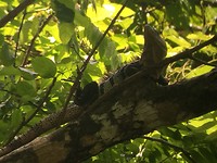 IMG_4159