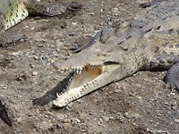 IMG_4228