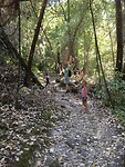 IMG_4381